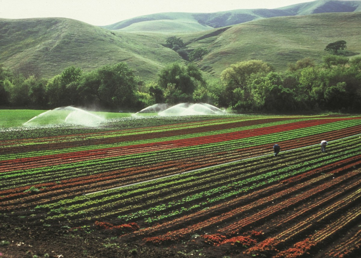 Farm Along The River Free Stock Photo - Public Domain Pictures Farm heroes